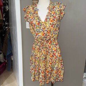 Velvet by Graham & Spencer Multicolor Floral Mini Dress